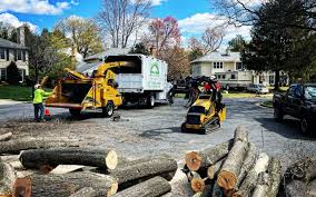Best Arborist Consultation Services  in Channel Islands Beach, CA