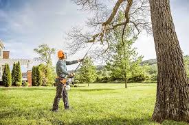Best Stump Grinding and Removal  in Channel Islands Beach, CA